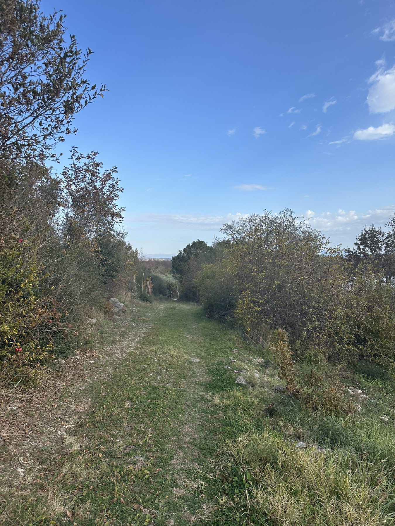 Land Darza 6000m2 - 8