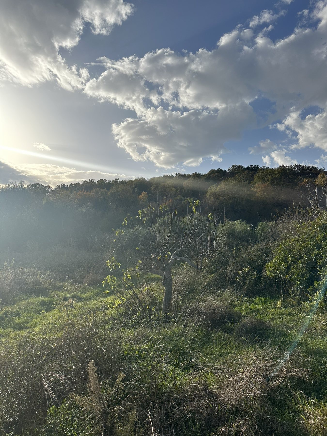 Land Darza 6000m2 - 7