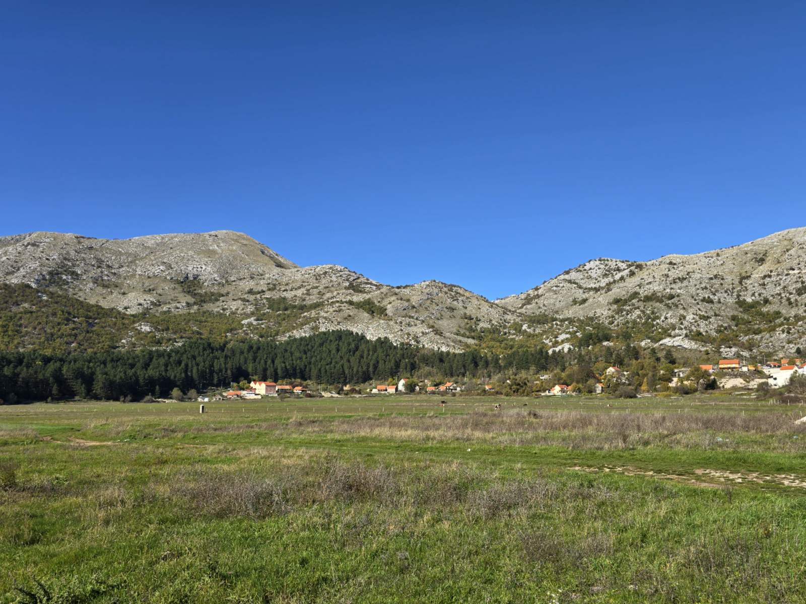 Nijegusi'de 6000m2'lik Arazi - 4