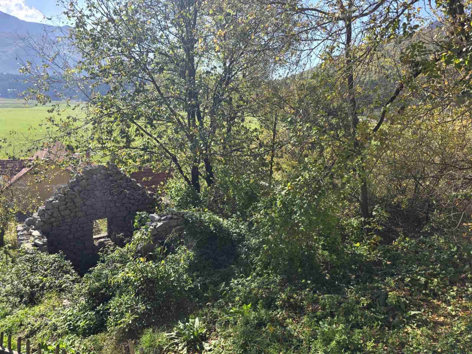 Nijegusi'de 6000m2'lik Arazi - 5