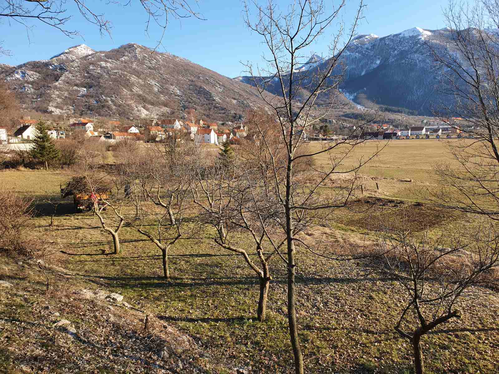 Nijegusi'de 6000m2'lik Arazi - 10