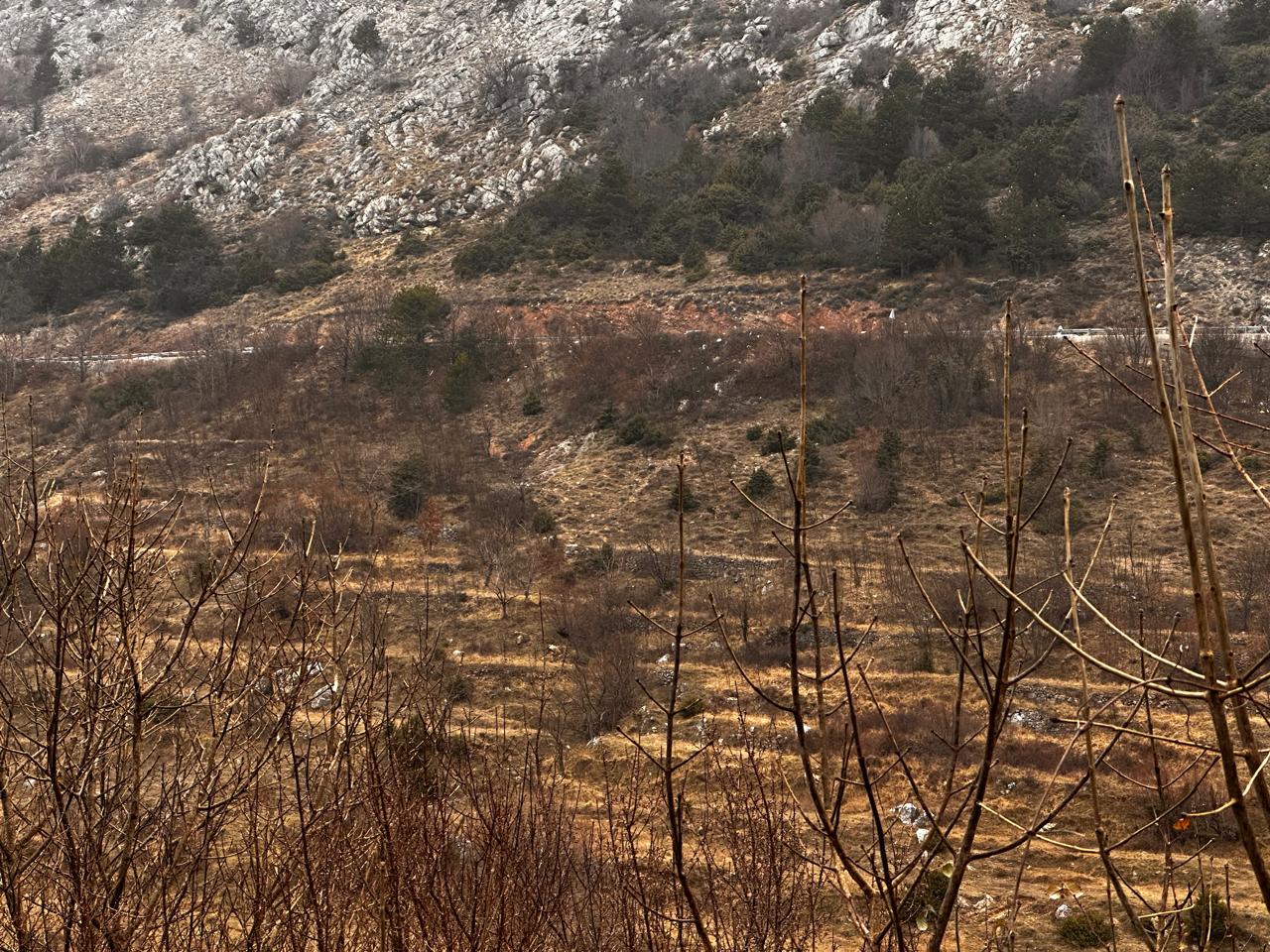 Земля Браичи 4899м2