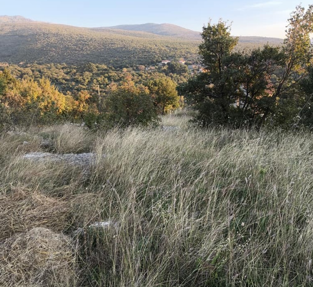 Donja Vrbica'da 687m2'lik Arazi - 3
