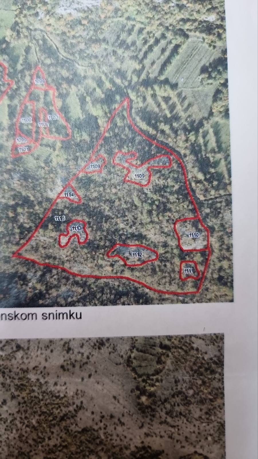 Plot Goljemadi 33000m2 - 3