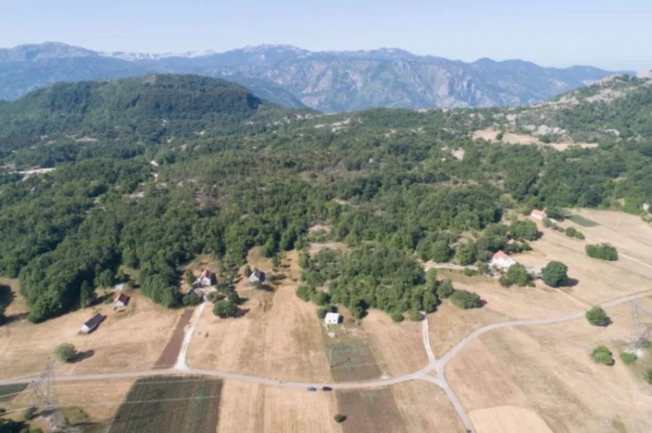 Land Grahovo 27188m2 - 2