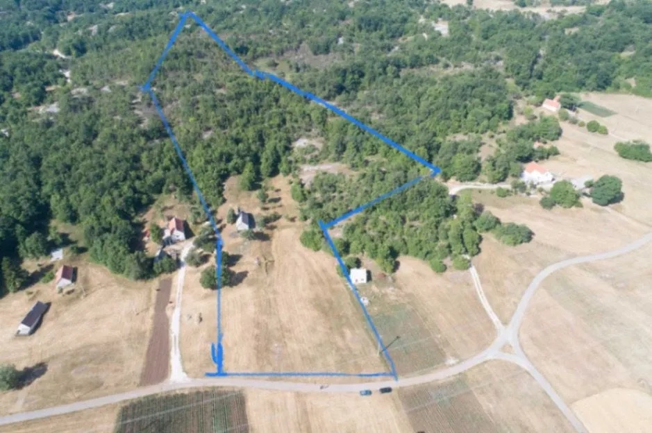 Land Grahovo 27188m2