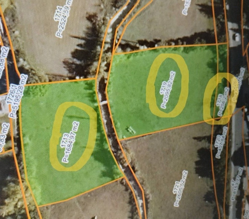 Urbanizovan Plac Masline 4037m2