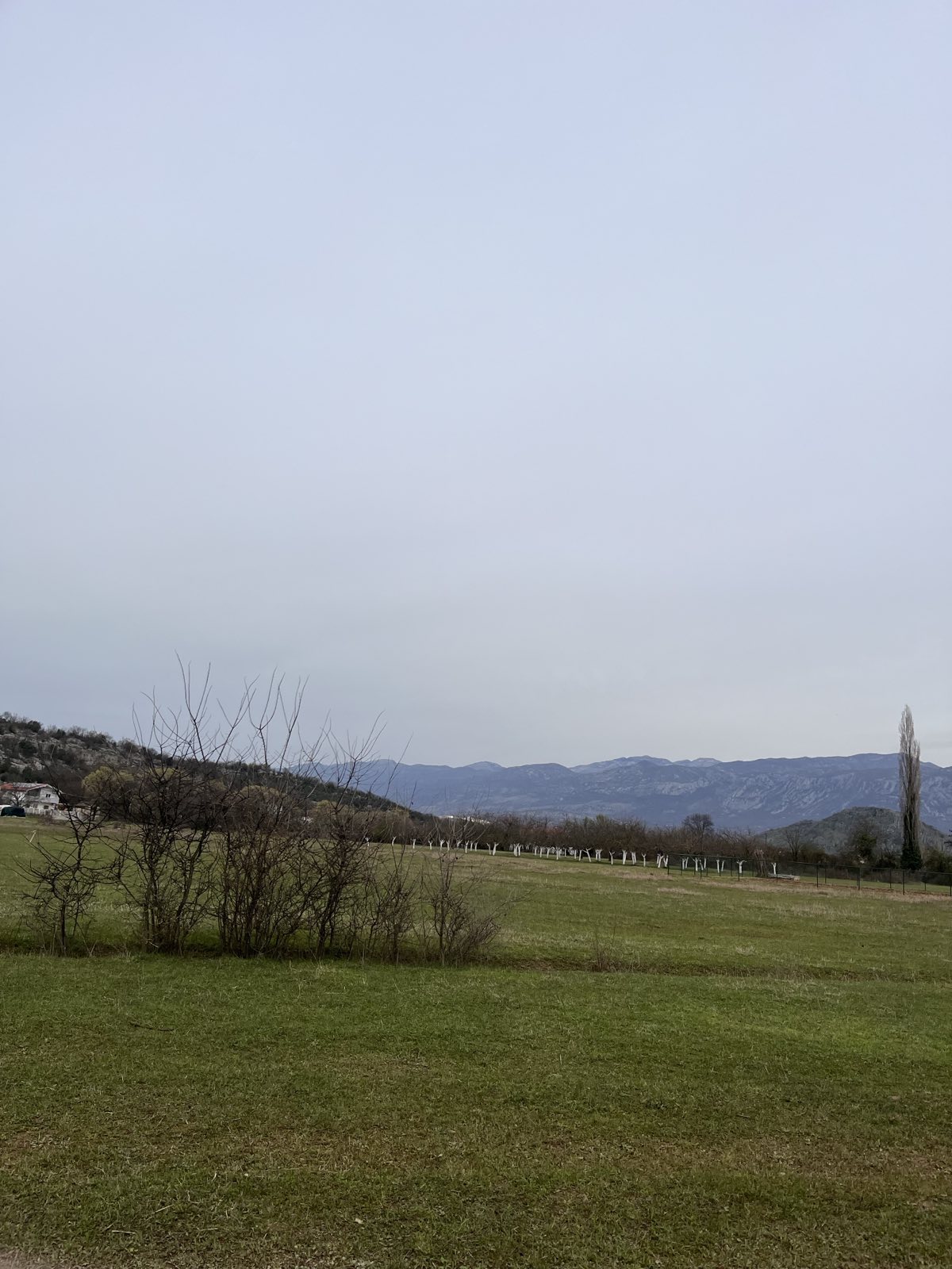Land Grbe 3550m2 - 3