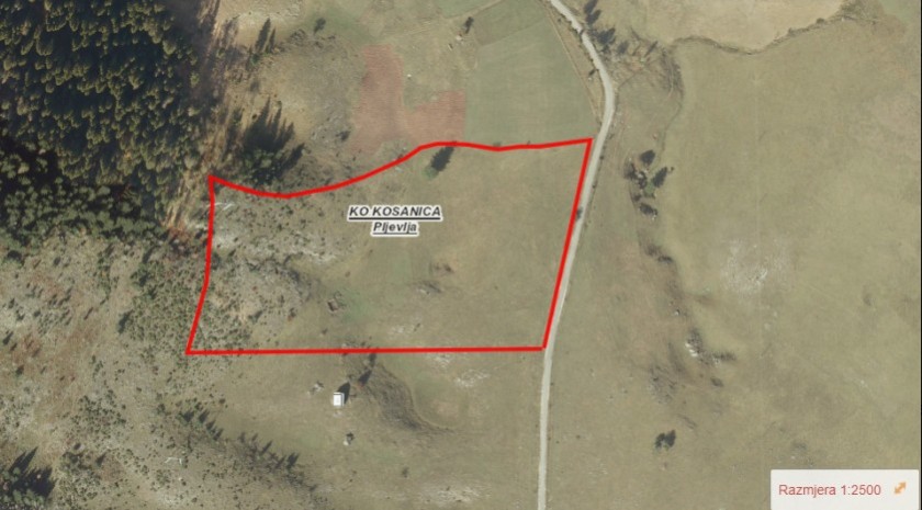 Land Kosanica 30000m2 - 3