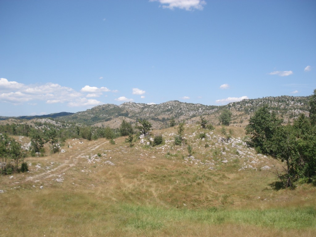 Zemljiste Cevo 800000m2