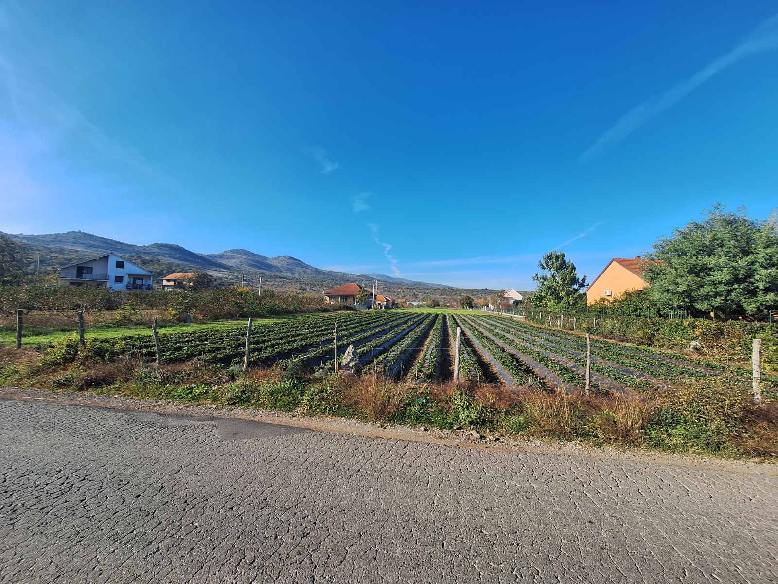 Farmaci'de 4000m2'lik Arazi