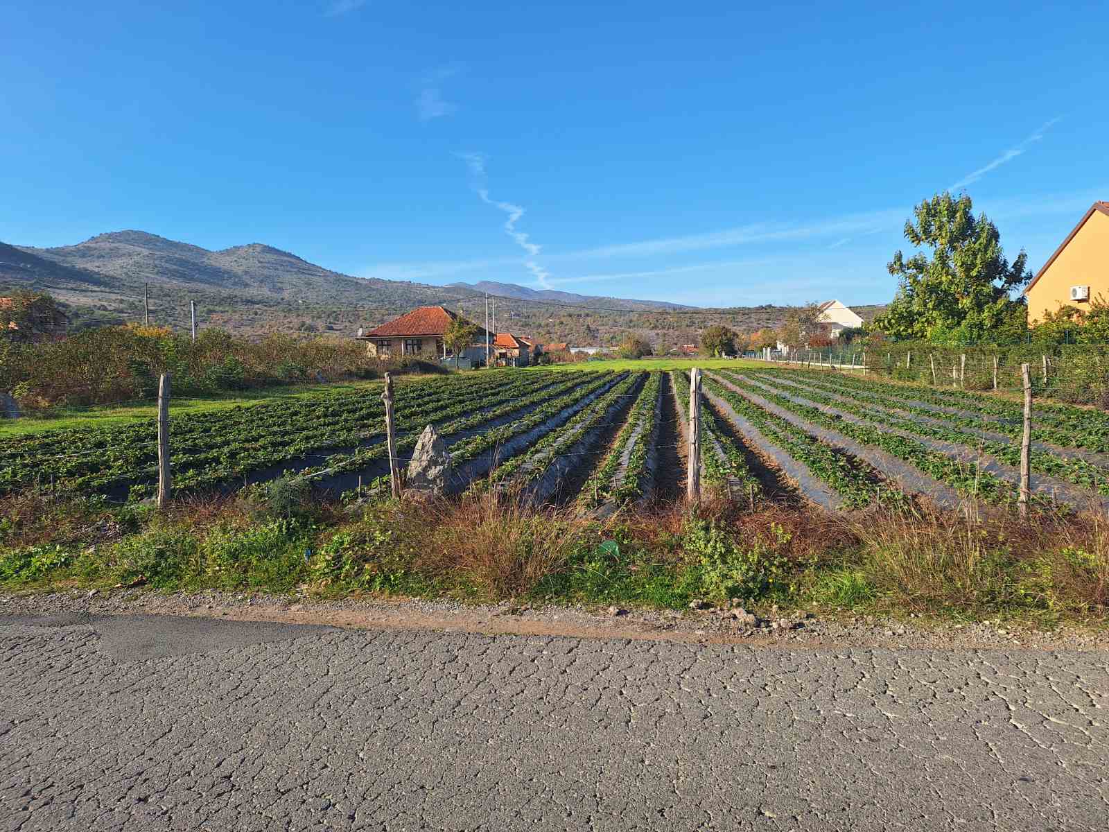 Farmaci'de 4000m2'lik Arazi - 2