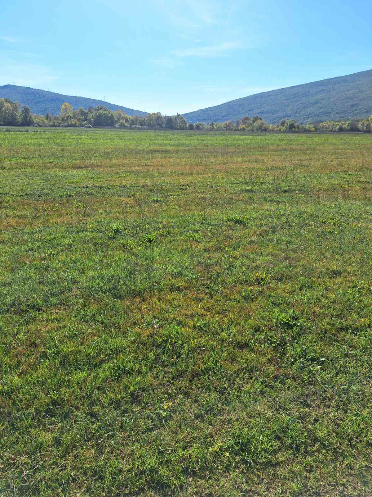 Tolosi'de 9000m2'lik Arazi