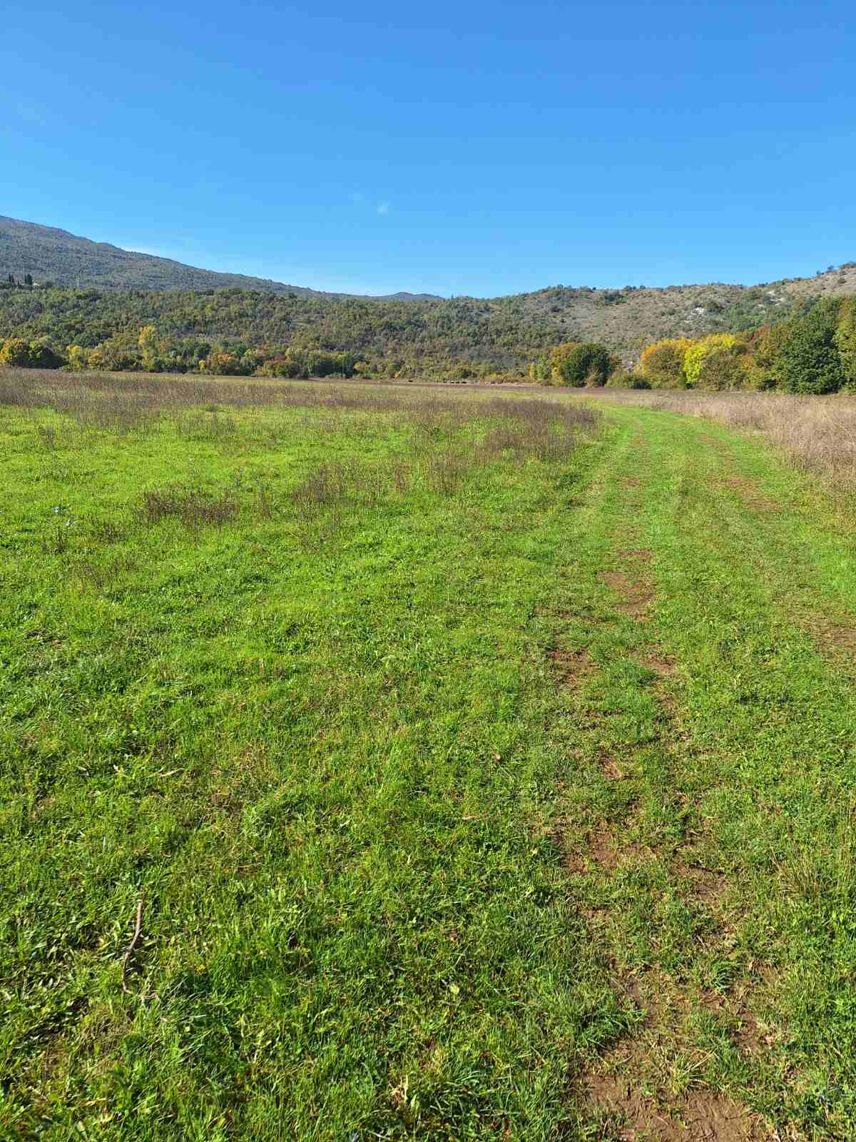 Tolosi'de 9000m2'lik Arazi - 2