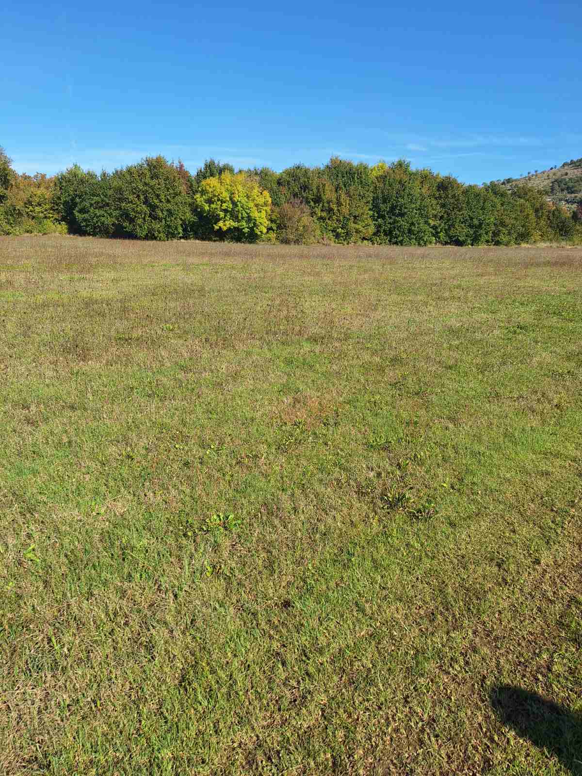 Tolosi'de 9000m2'lik Arazi - 4