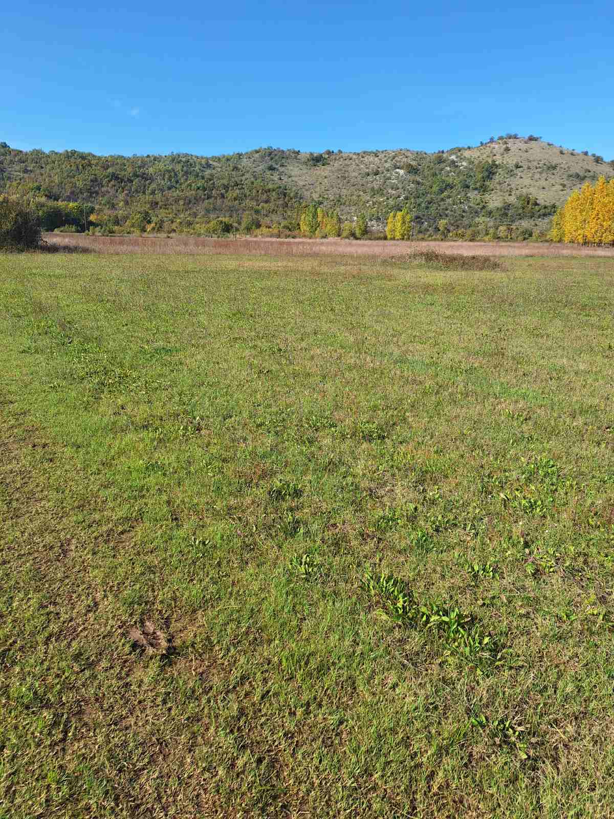 Tolosi'de 9000m2'lik Arazi - 3