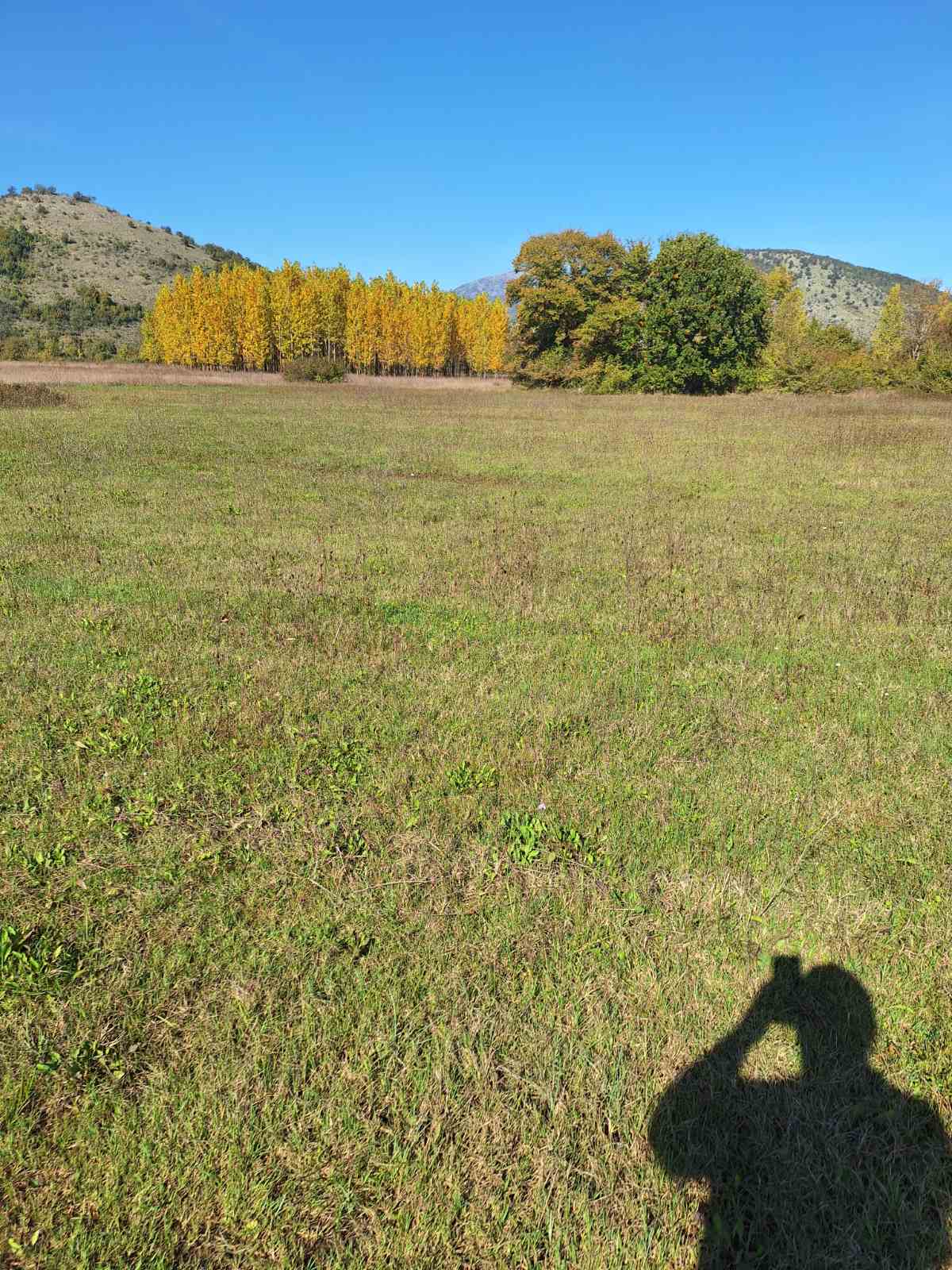 Tolosi'de 9000m2'lik Arazi - 5