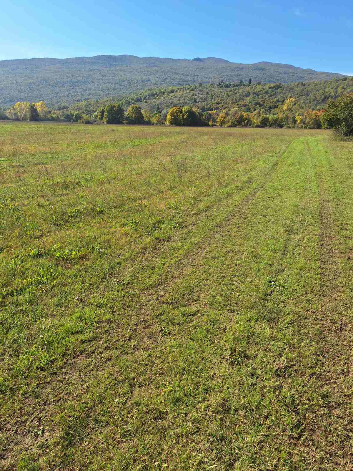 Tolosi'de 9000m2'lik Arazi - 6