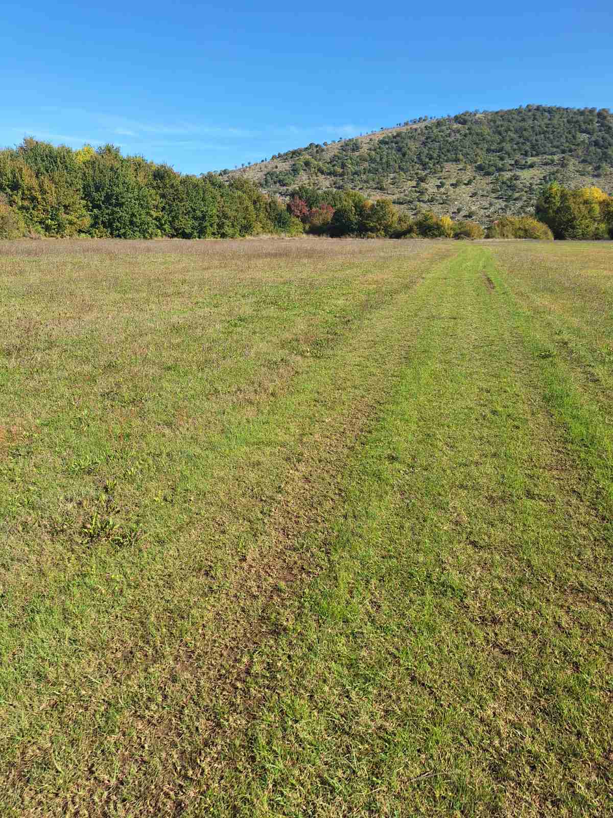 Tolosi'de 9000m2'lik Arazi - 7