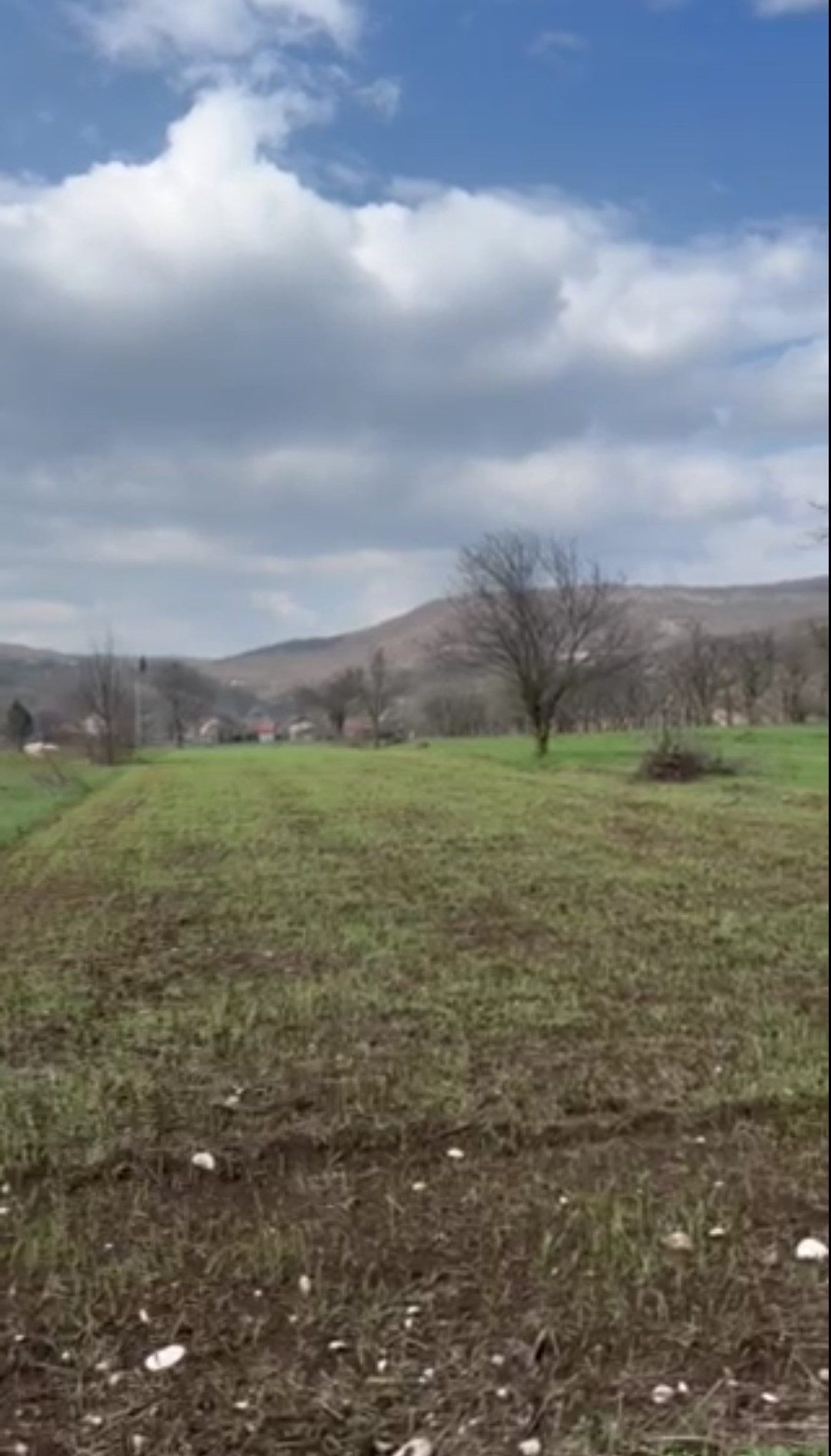 Land Gornje Polje 2500m2