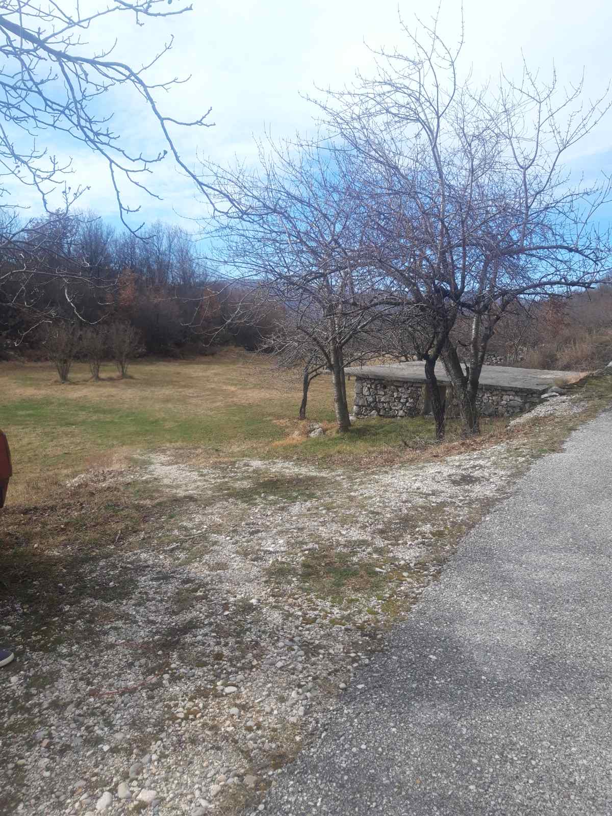 Land Kupinovo 5000m2 - 7
