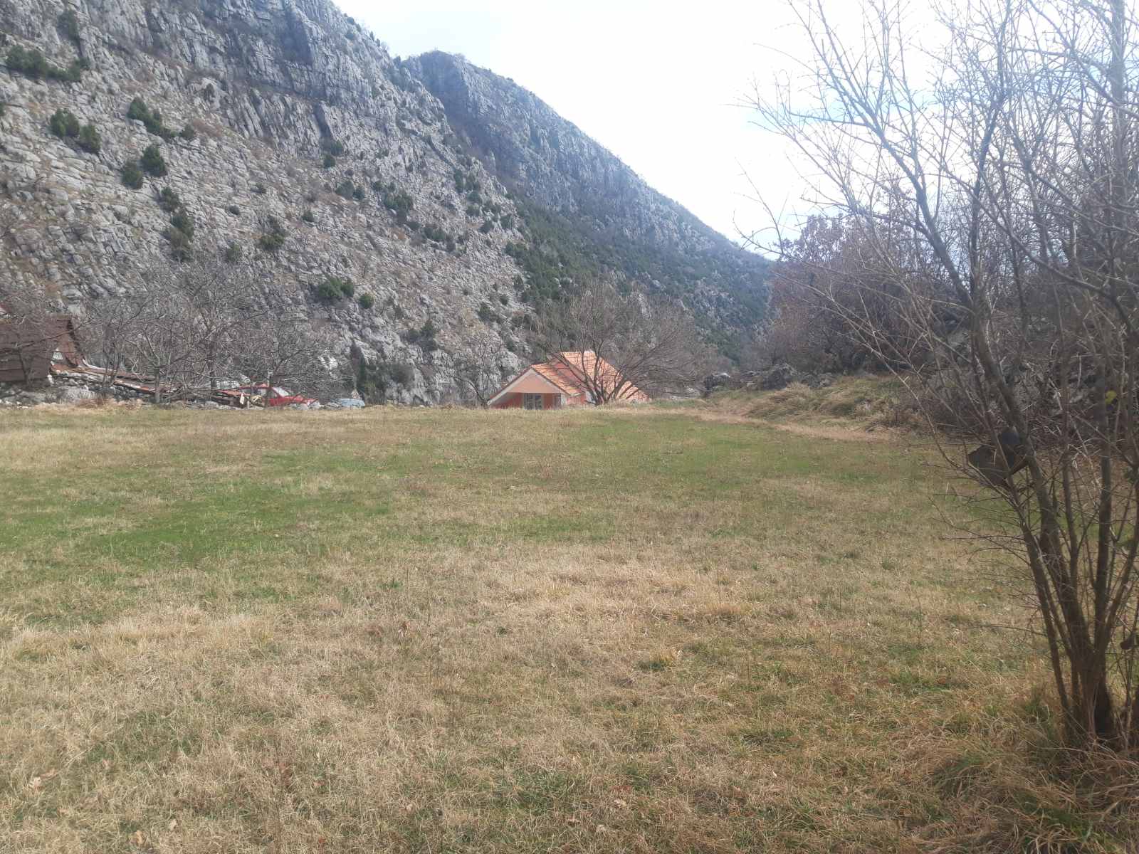 Land Kupinovo 5000m2 - 9