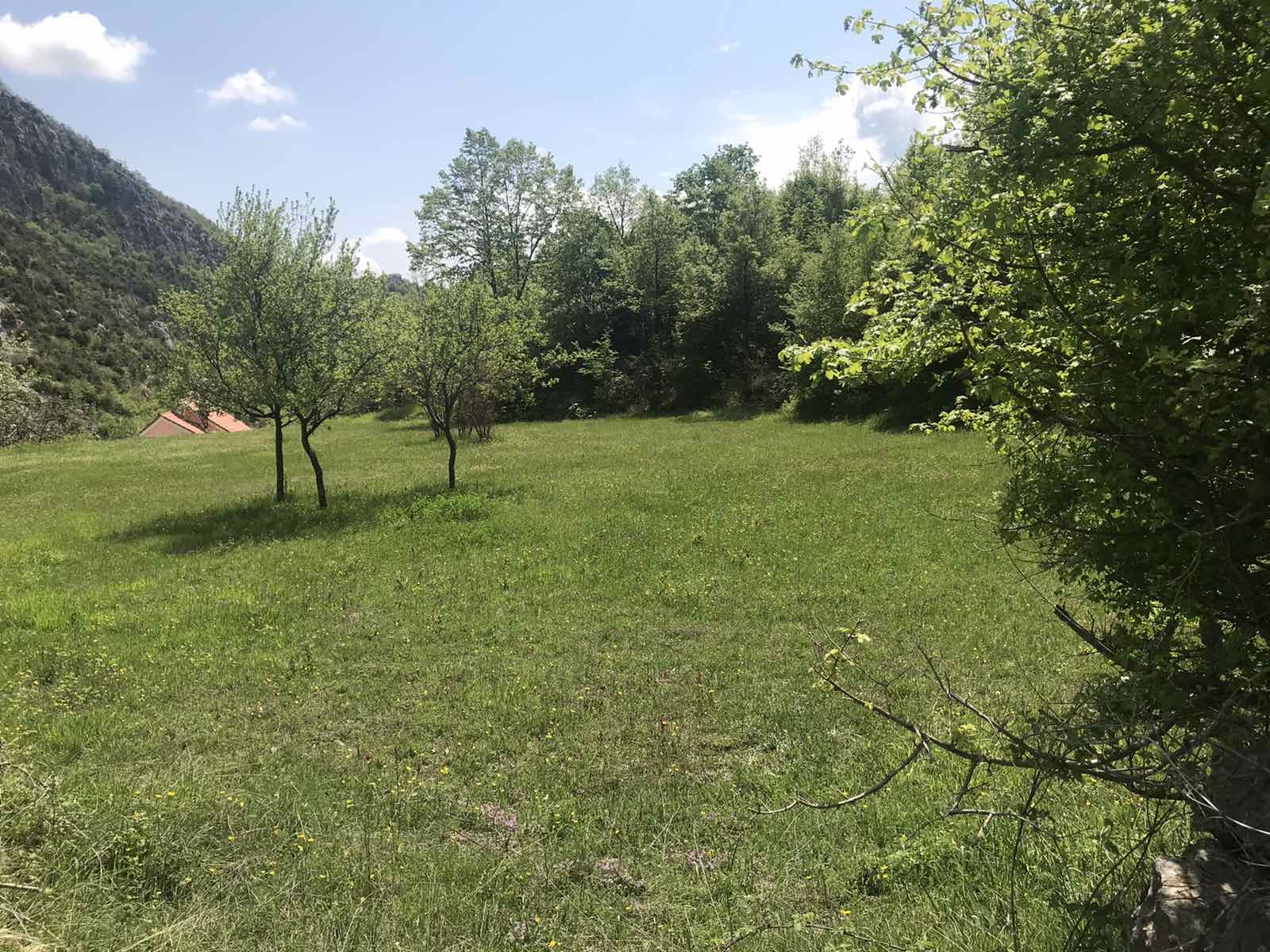 Land Kupinovo 5000m2 - 5