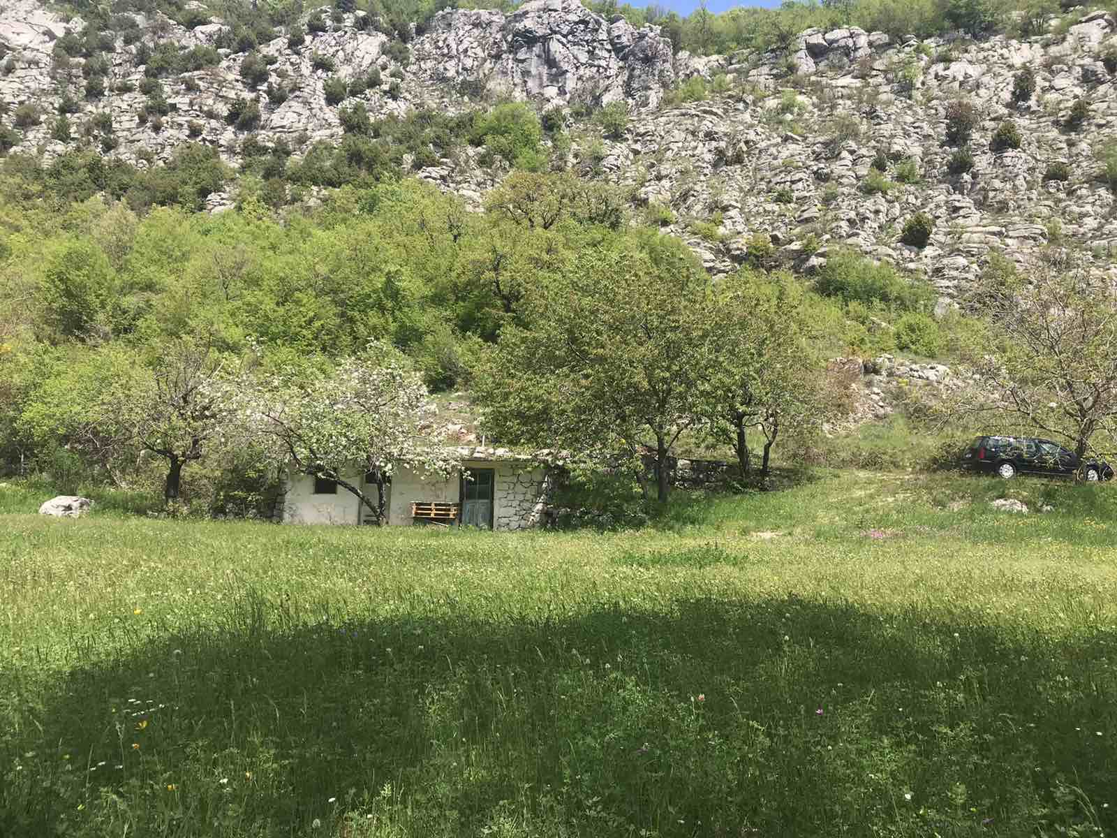 Land Kupinovo 5000m2 - 6