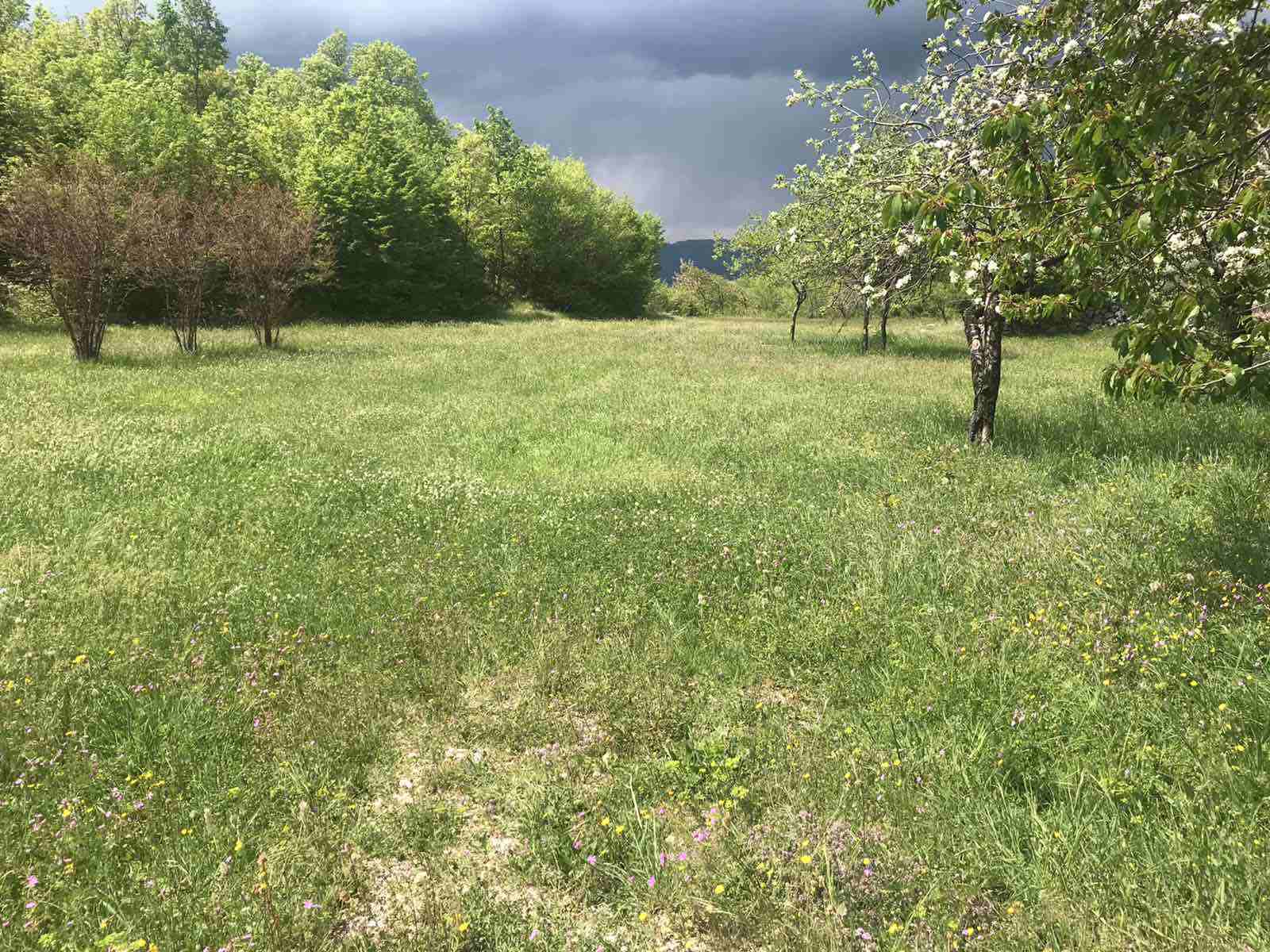 Land Kupinovo 5000m2 - 4