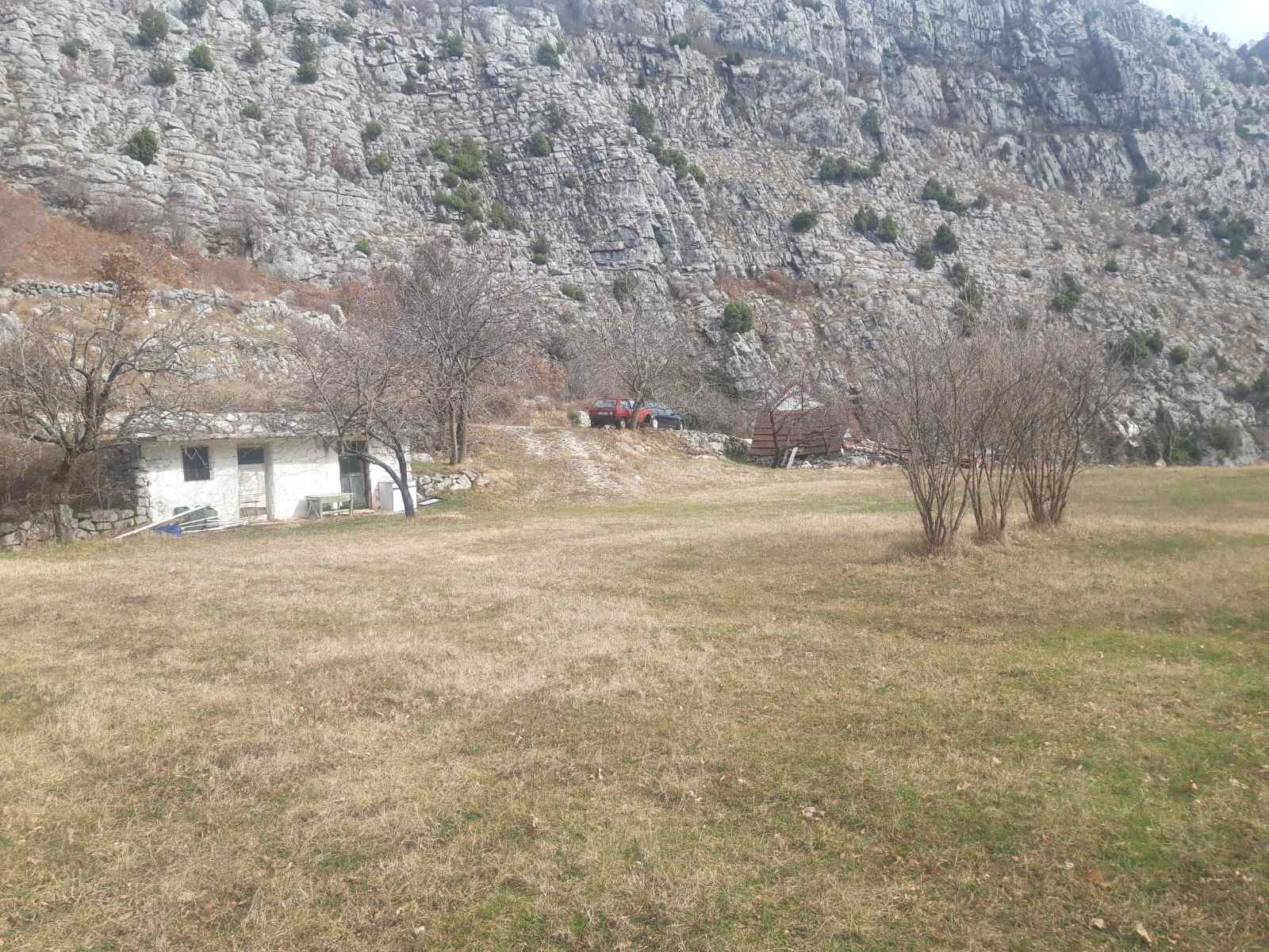 Land Kupinovo 5000m2 - 8