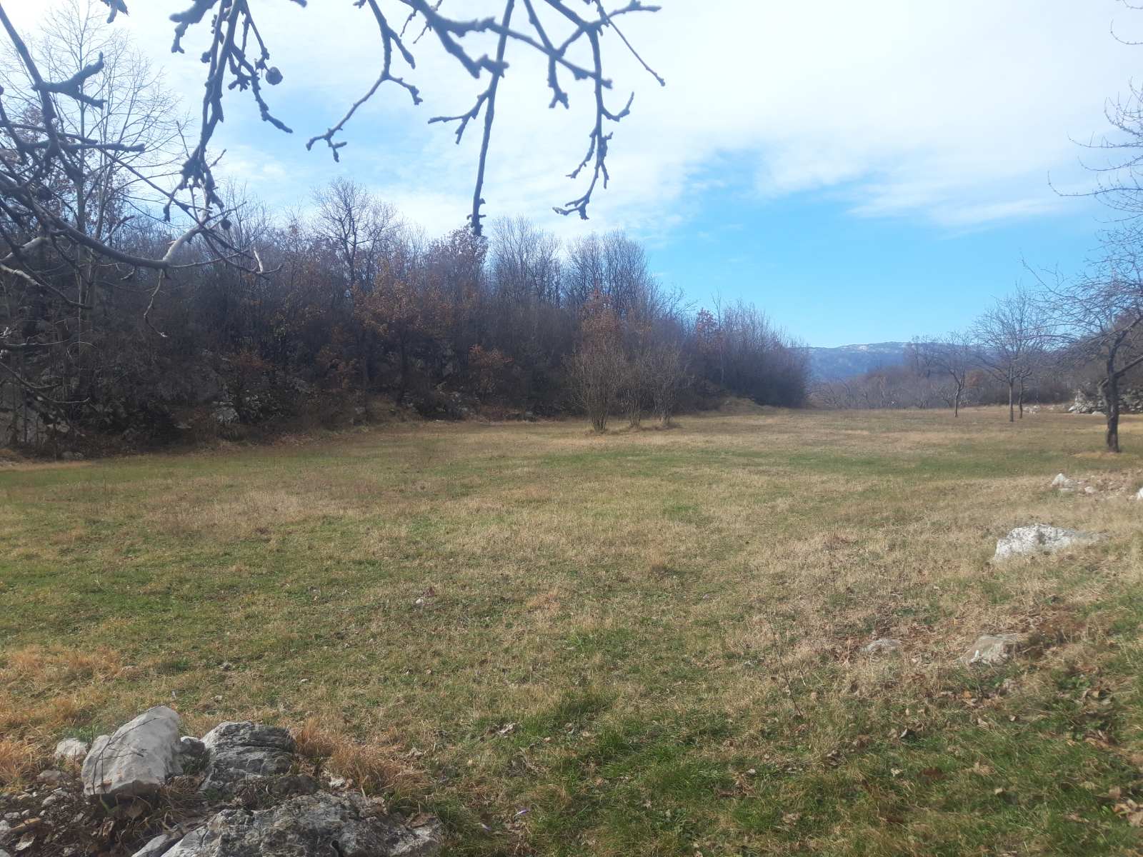 Land Kupinovo 5000m2 - 10