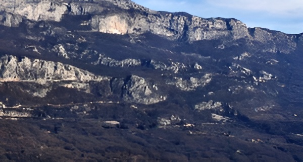 Земля Богетичи 86000м2 - 4