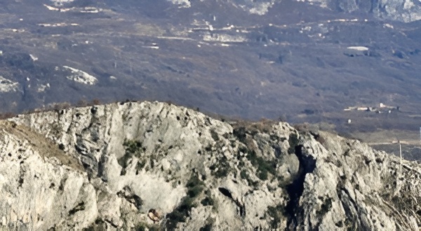 Земля Богетичи 86000м2 - 2