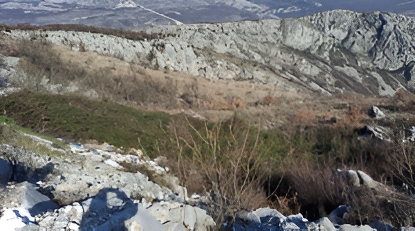 Земля Богетичи 86000м2 - 6