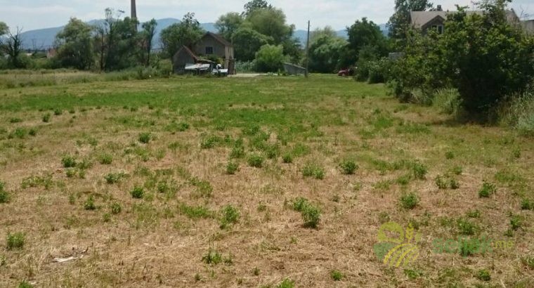 Land Spuz 4500m2 - 7