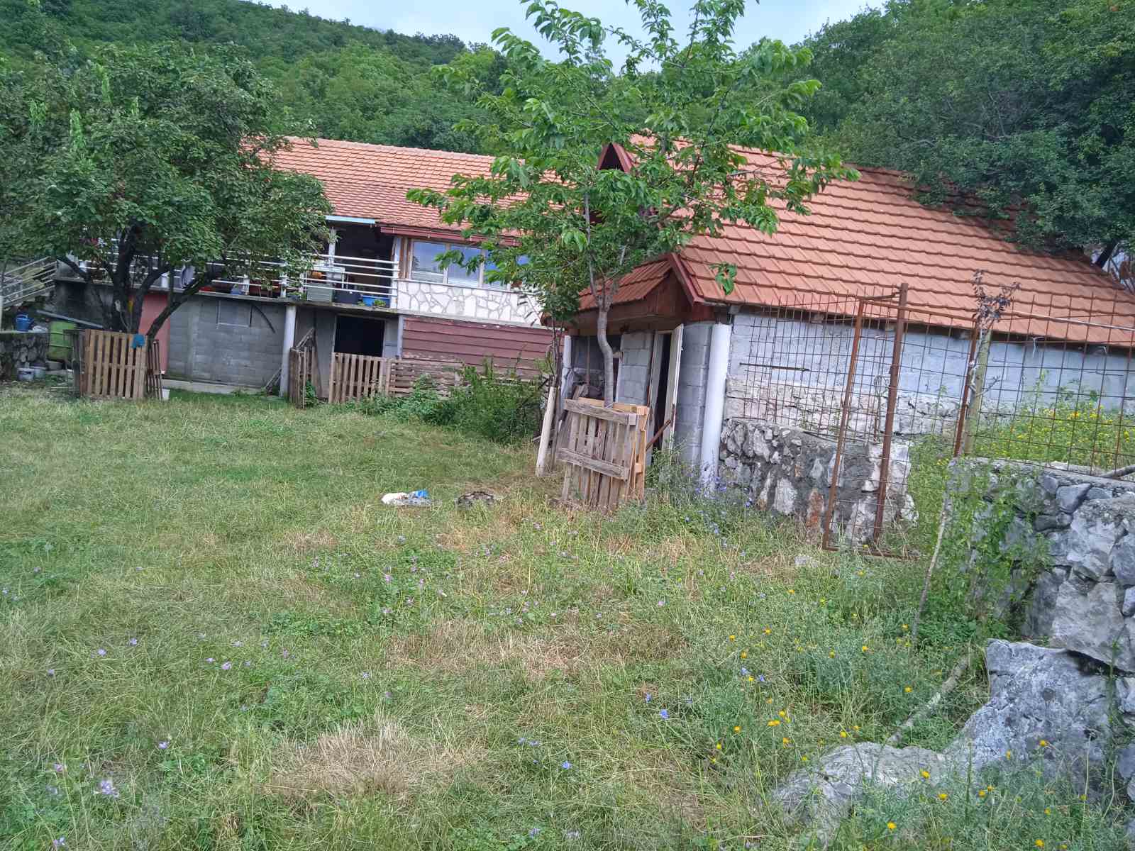 Piperi'de 62747m2'lik Arazi - 2