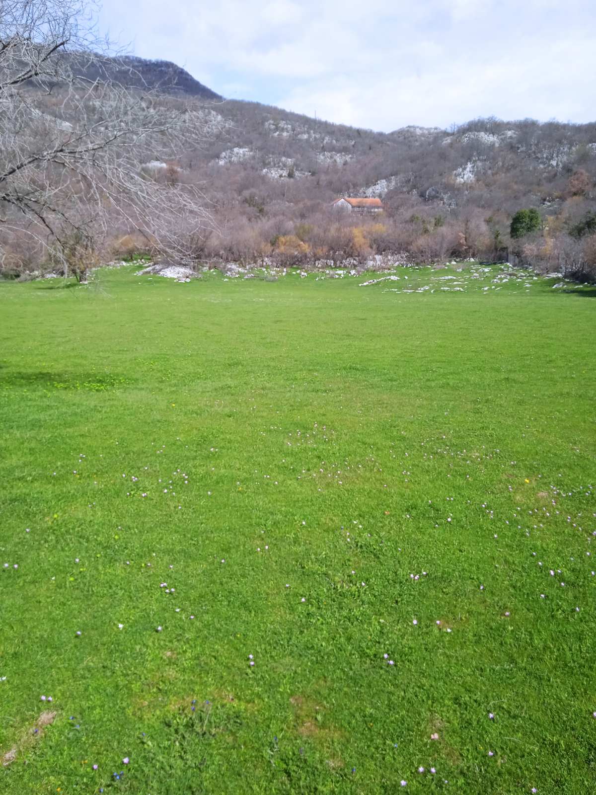 Piperi'de 62747m2'lik Arazi - 5