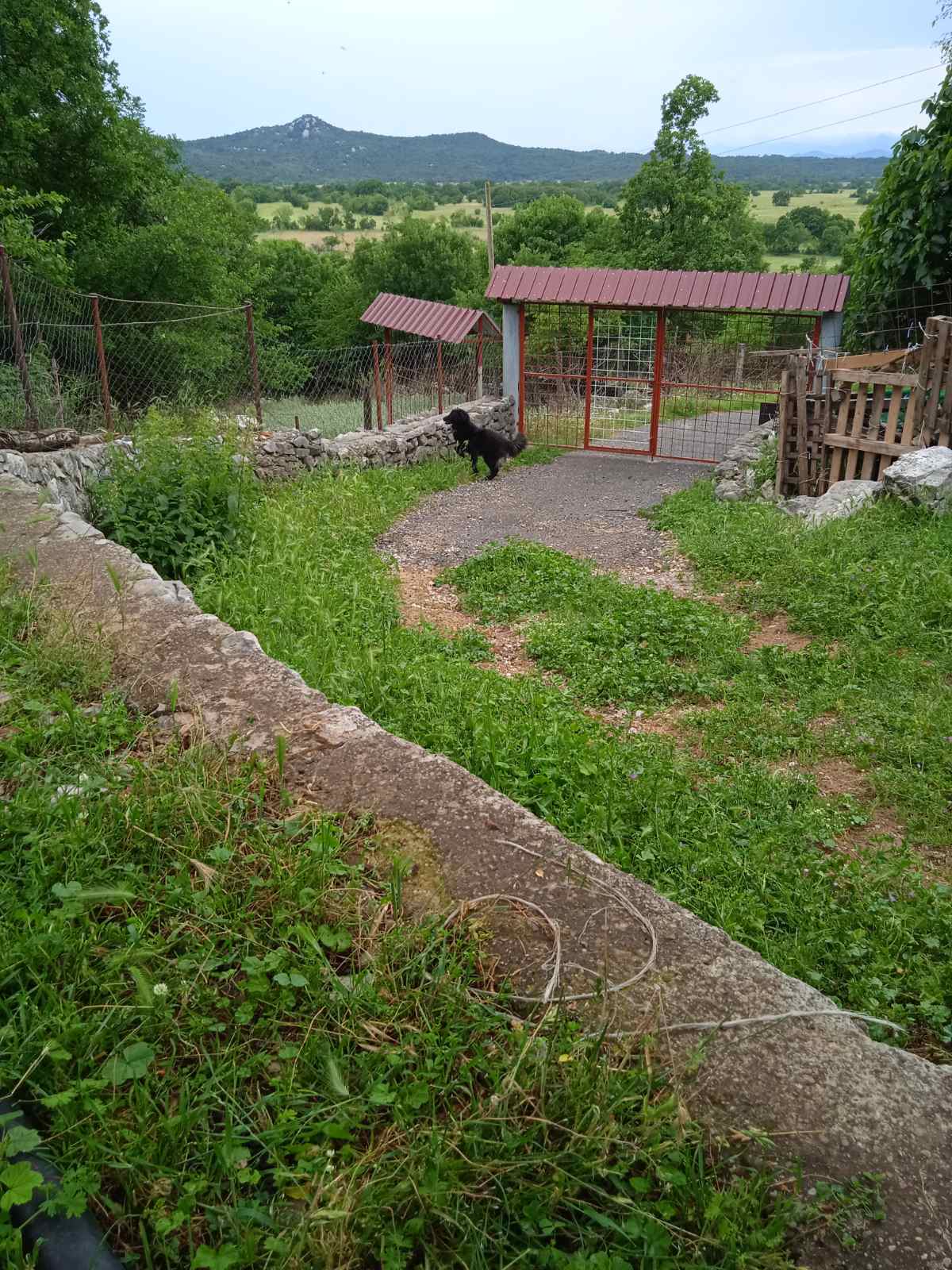 Piperi'de 62747m2'lik Arazi