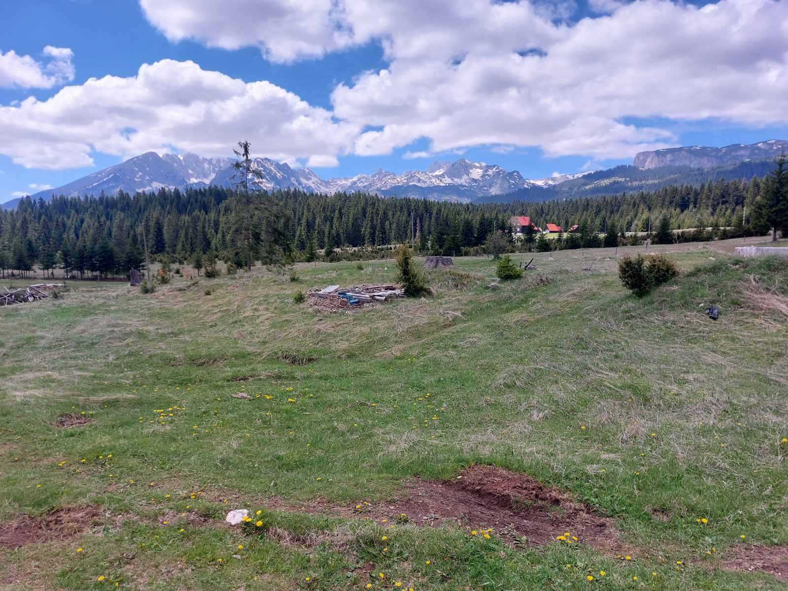 Zabljak'ta 17505m2'lik Arazi - 7