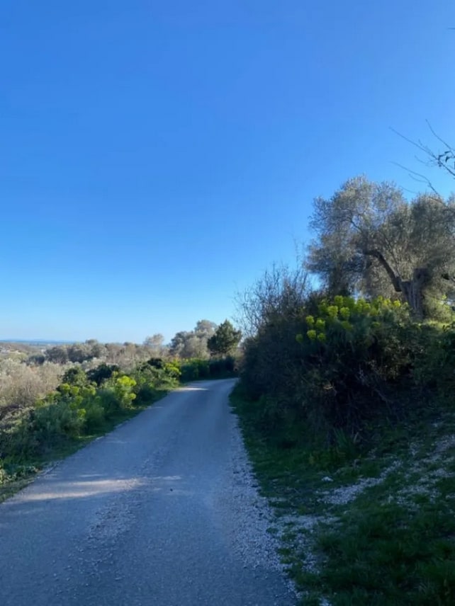 Земля Коломна 5500м2 - 6