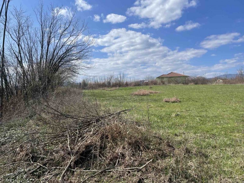 Zemljiste Podanje 9500m2 - 4