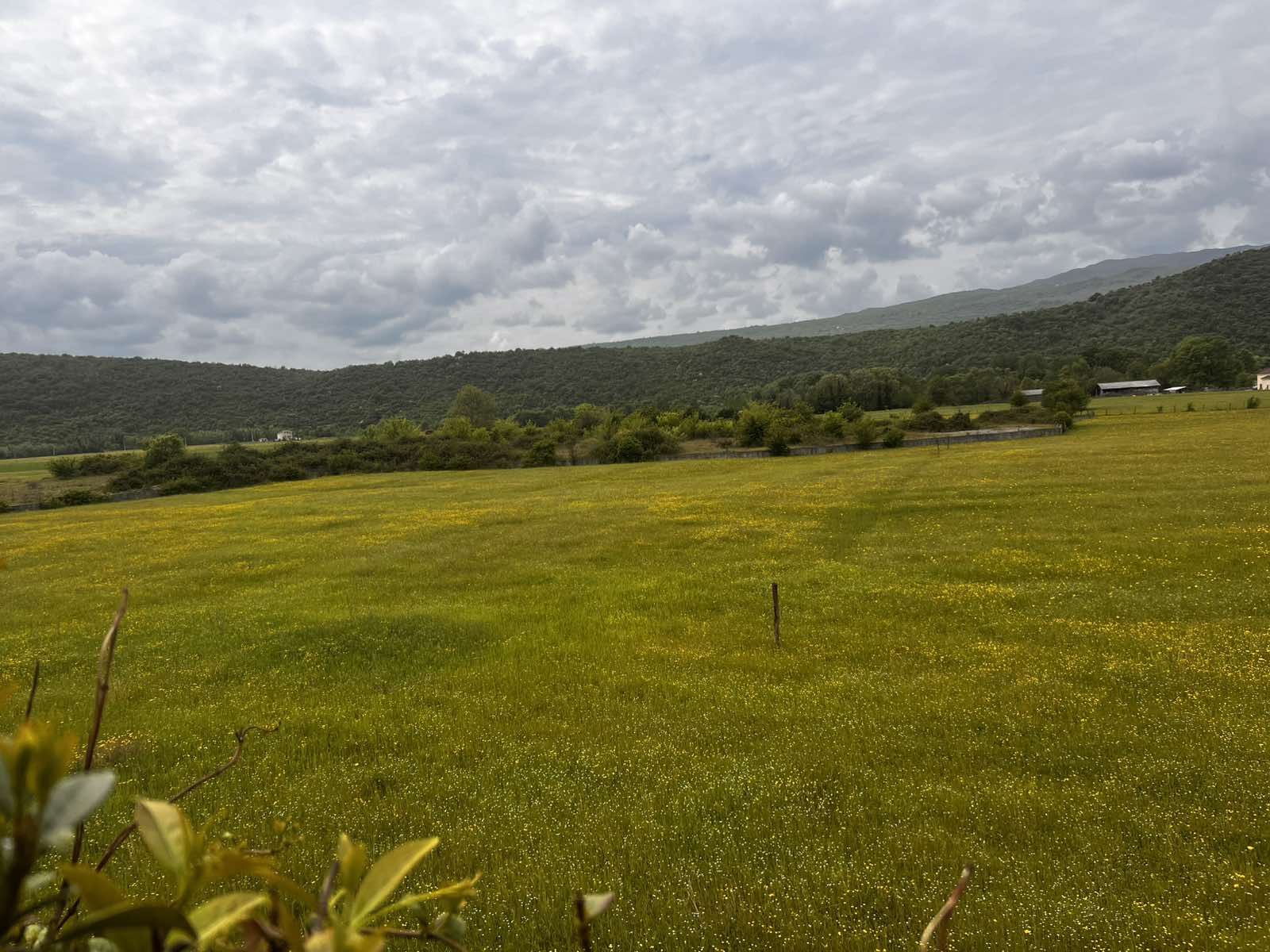 Urbanized Plot Danilovgrad 1982m2