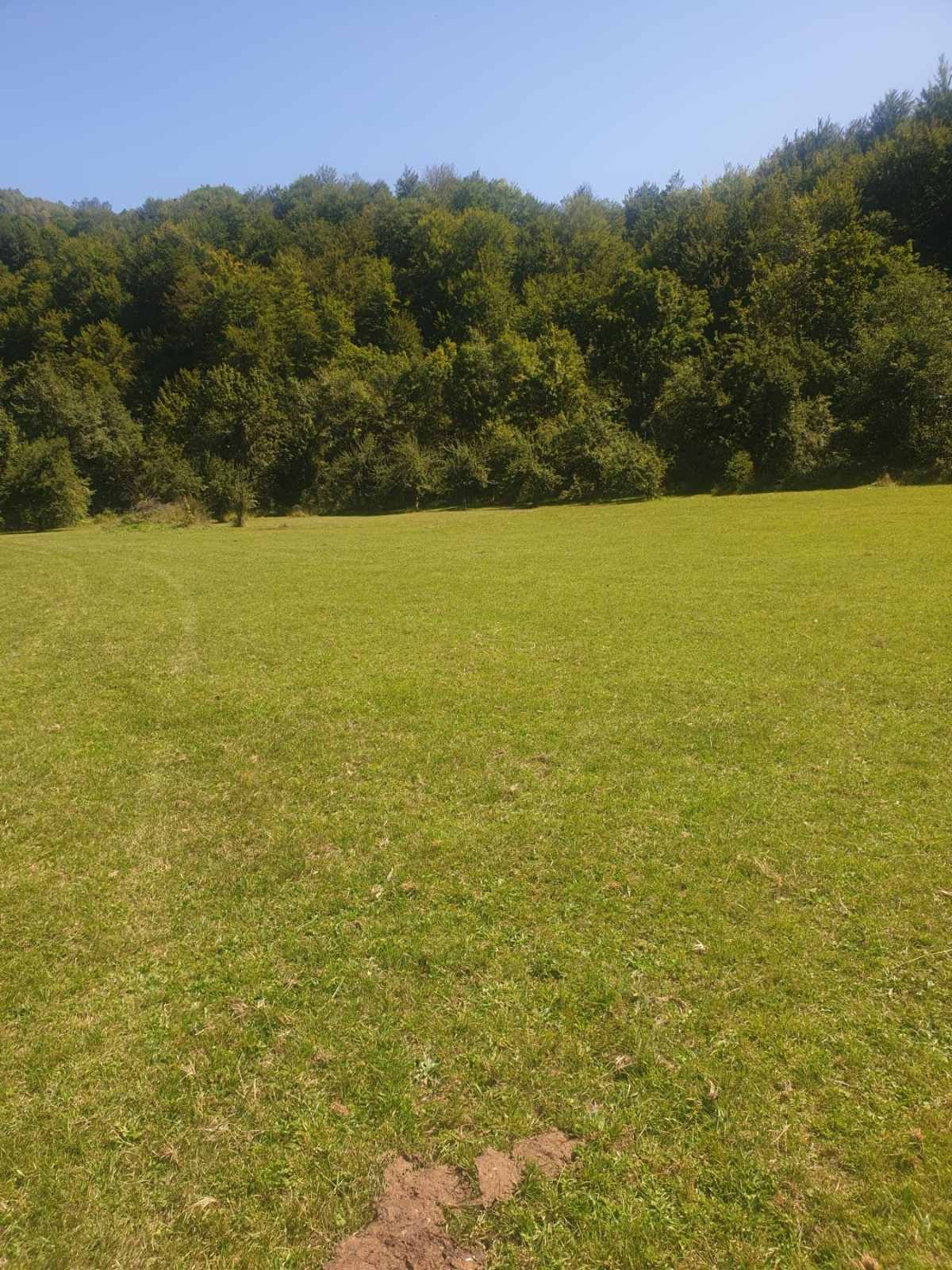 Plot Skrbusa 600m2