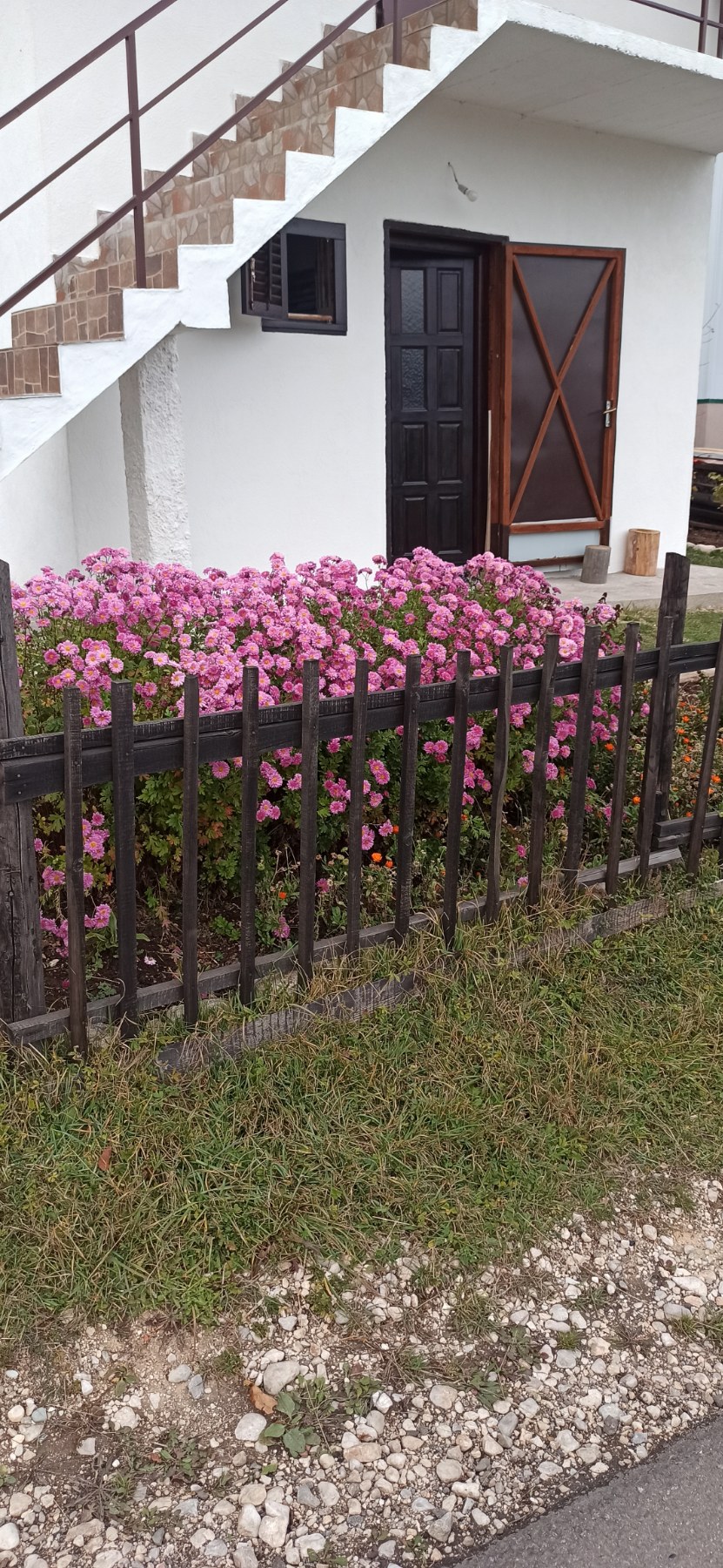 Prisoje'de 48m2'lik Ev - 2