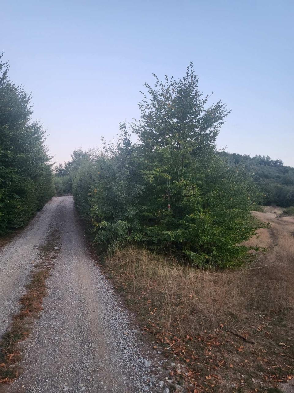 Plot Barutane 600m2 - 3