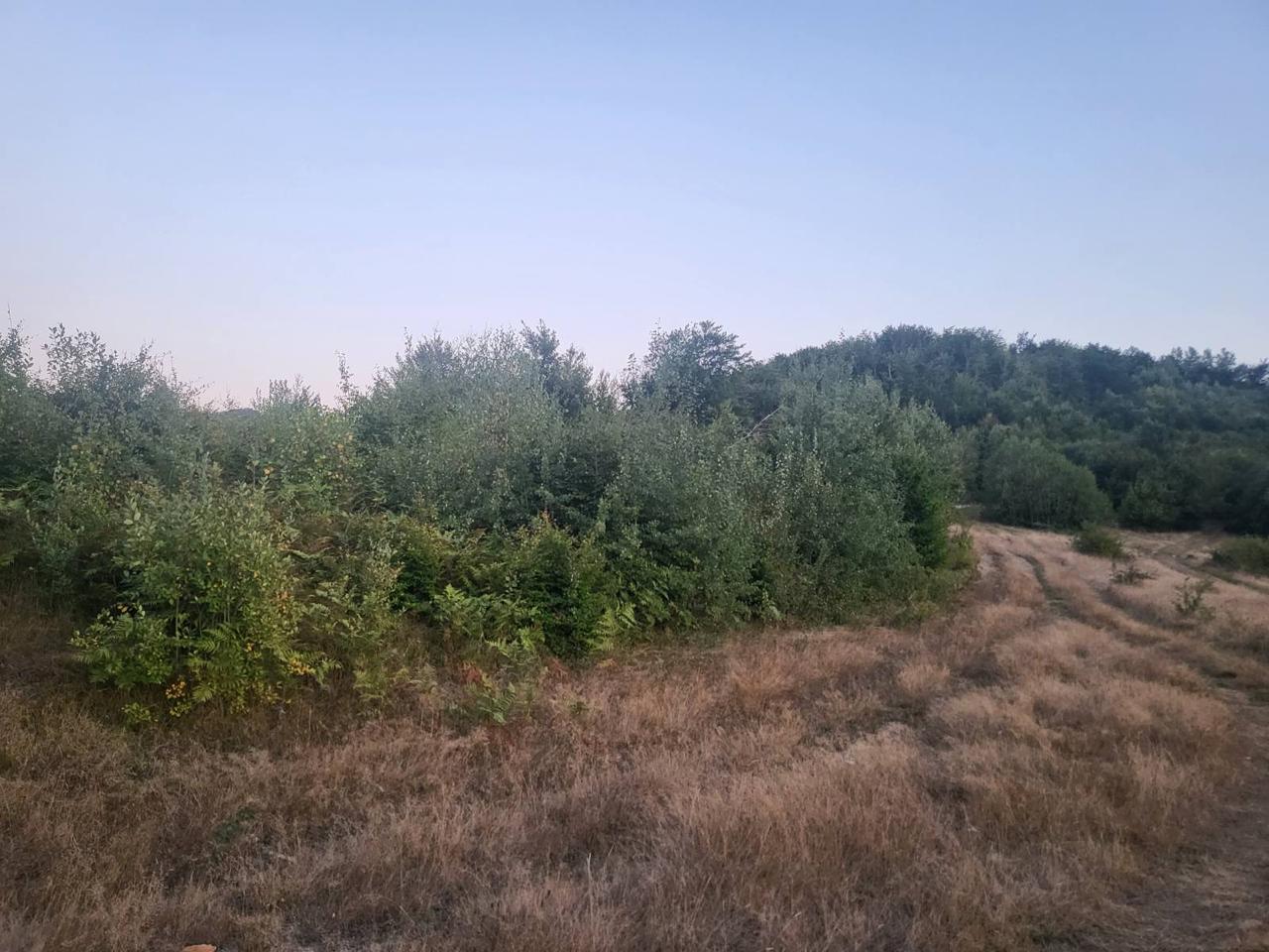 Plot Barutane 600m2
