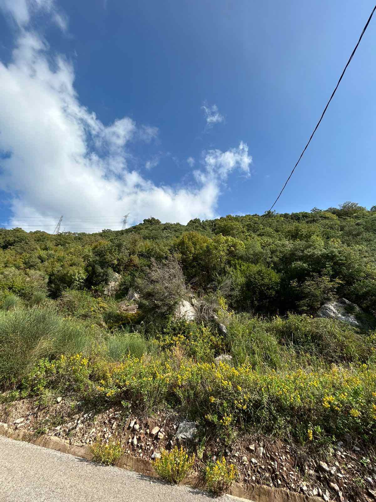 Plot Lastva Grbalska 4500m2 - 3