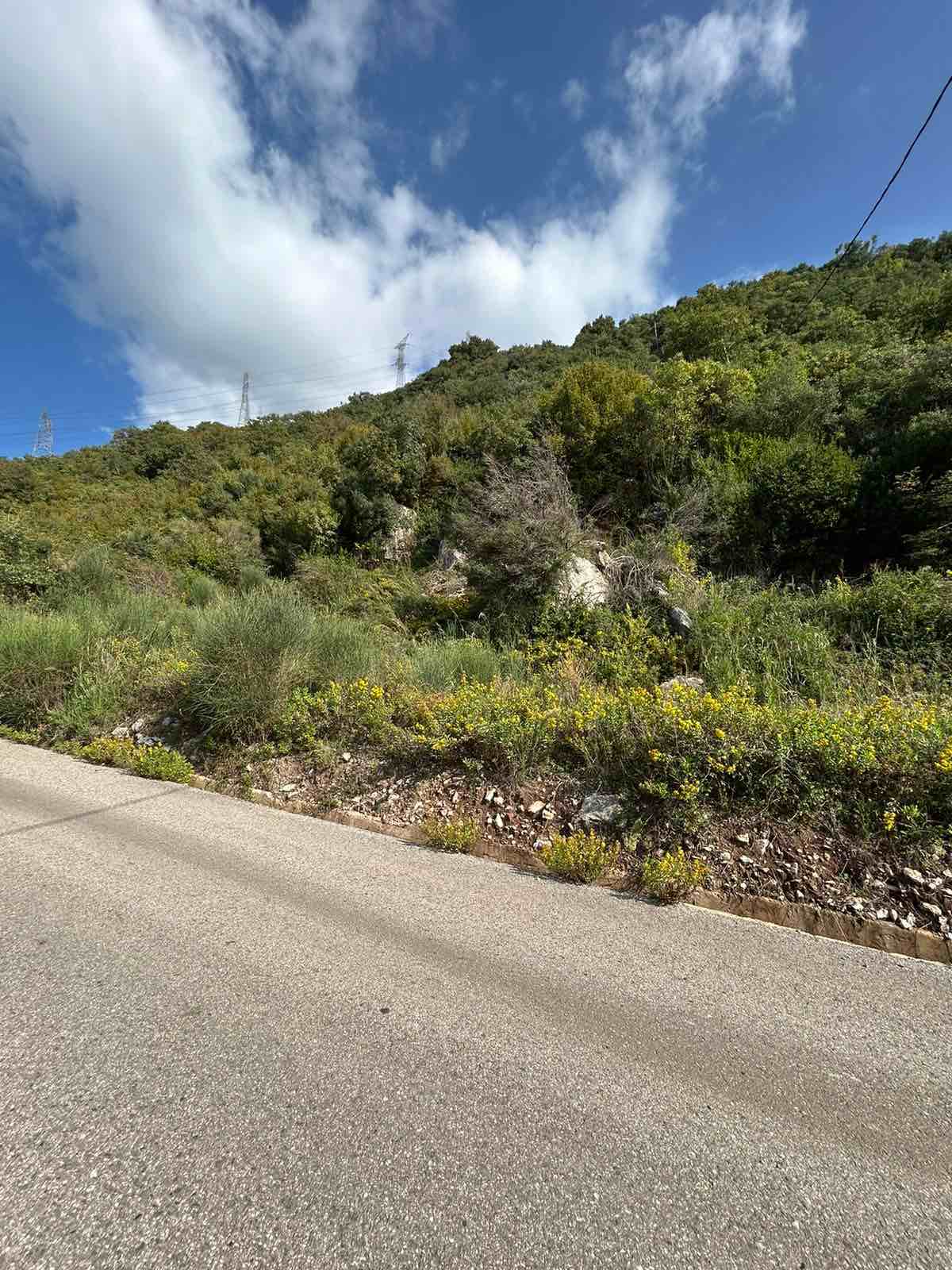 Plot Lastva Grbalska 4500m2 - 4