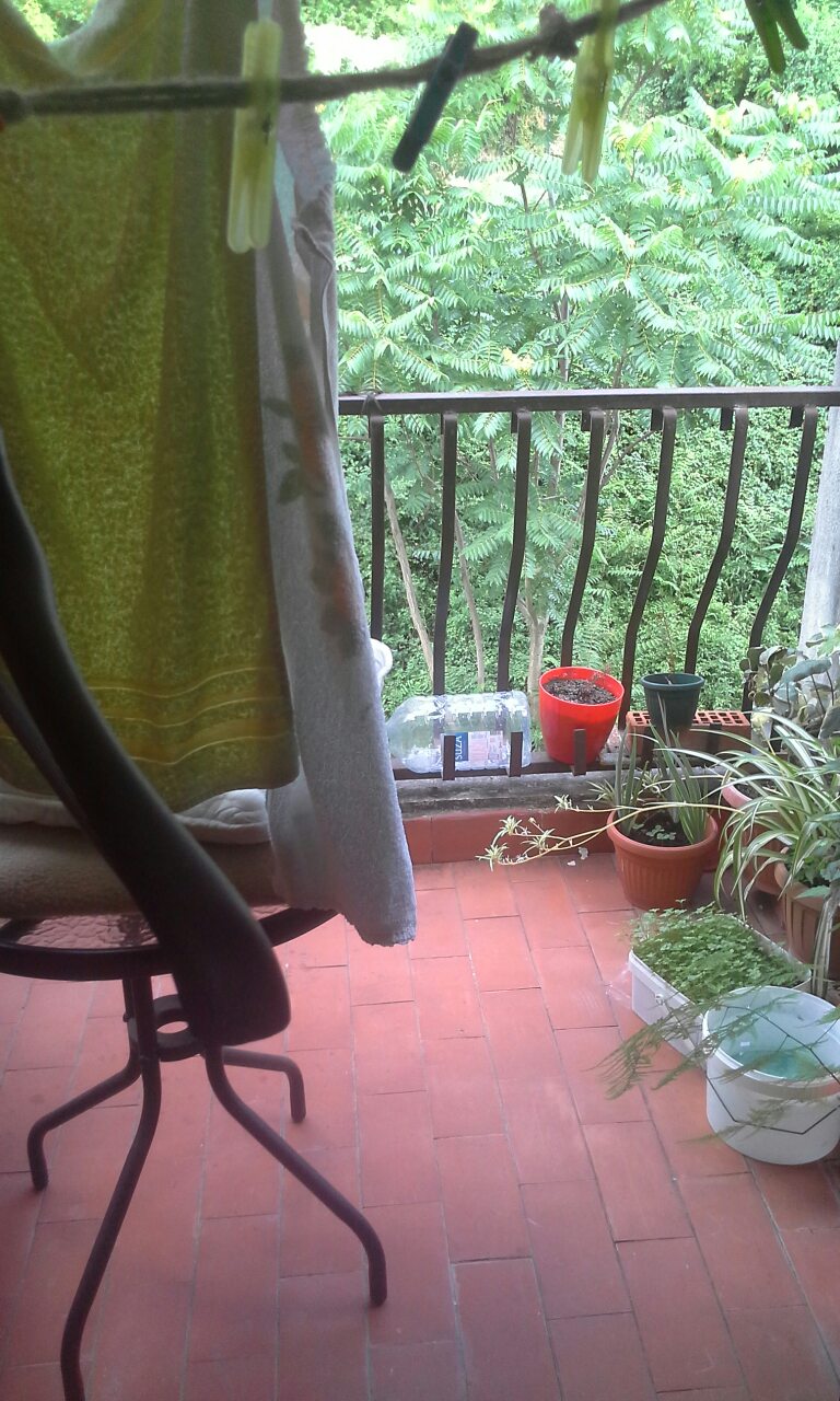 Studio Apartment Dobrota 35m2 - 2