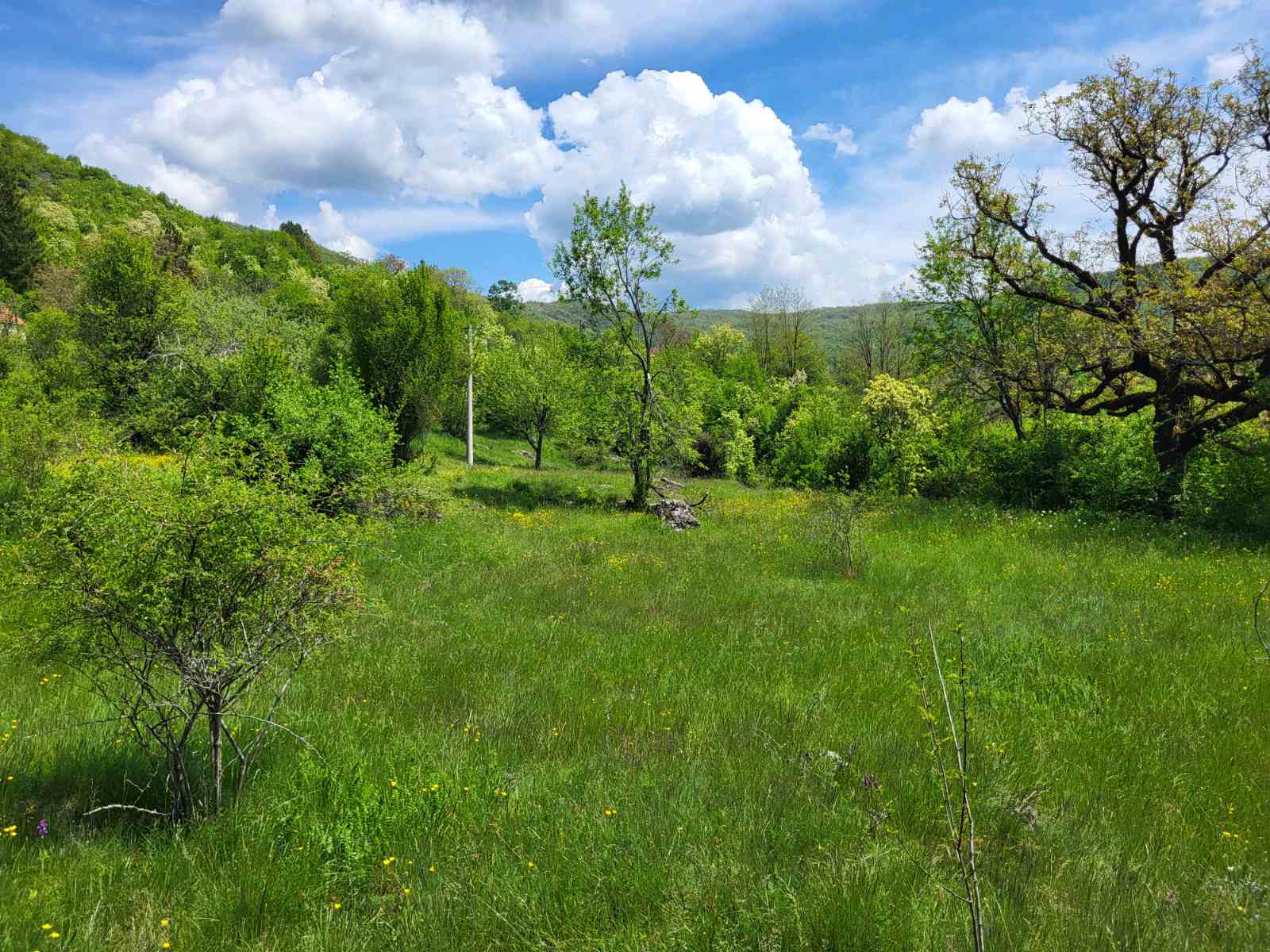 Zemljiste Brno 160000m2 - 5